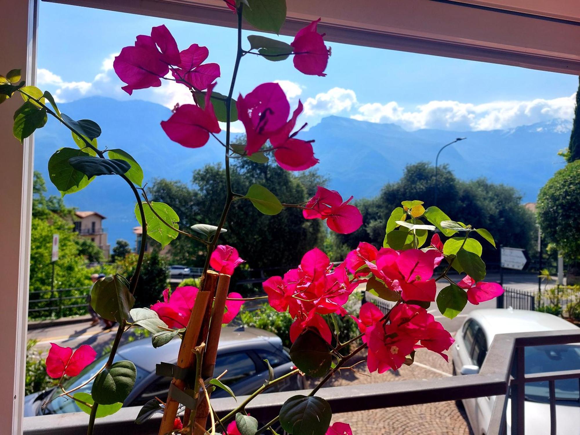 Hotel Villa Grazia Limone sul Garda Exteriér fotografie